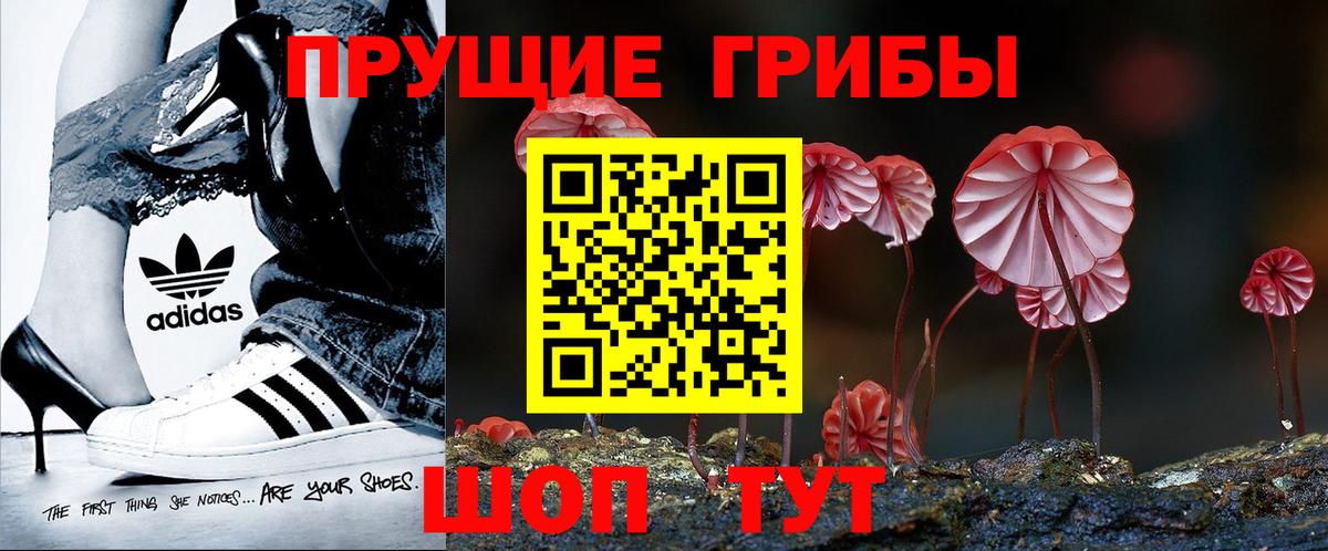 Галлюциногенные грибы MAGIC MUSHROOMS Сафоново